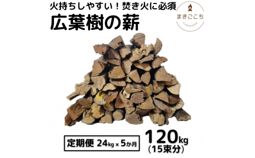 ym|zyCF-R5cbszd 24kg 24L 5 35cm ܂ Lt  Lv AEghA  o[xL[ BBQ I[u Xg[u gF   Α  R sUq Ηqy匎ʕԗiz