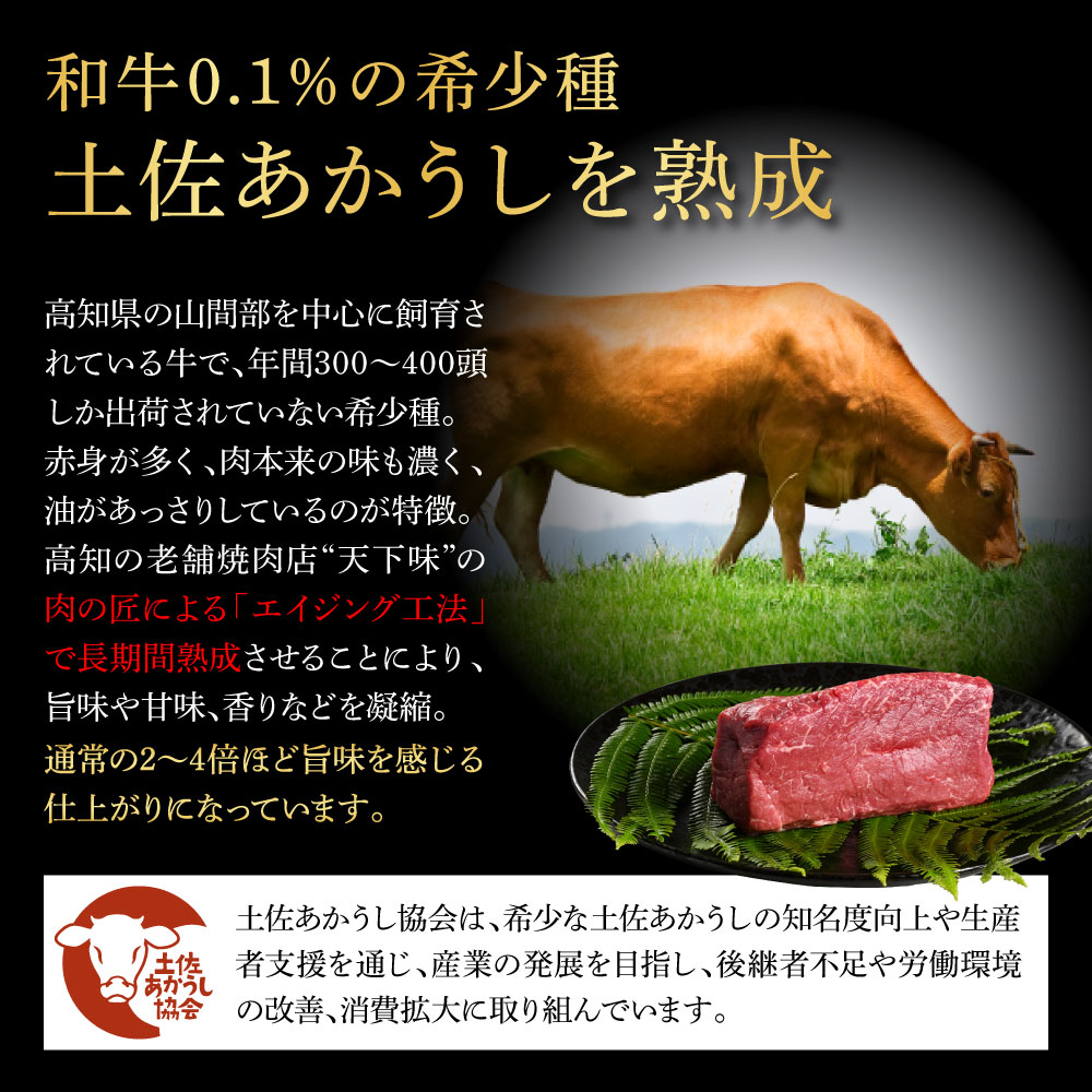 【CF-R5cbs】土佐あかうし＆土佐和牛2種食べ比べ（500g×4パック）2キロ 2kg 特選ヒレ肉サイコロステーキ 特選ヒレ サイコロステーキ 牛肉 赤牛 和牛 国産 エイジングビーフ エイジング工法 熟成肉