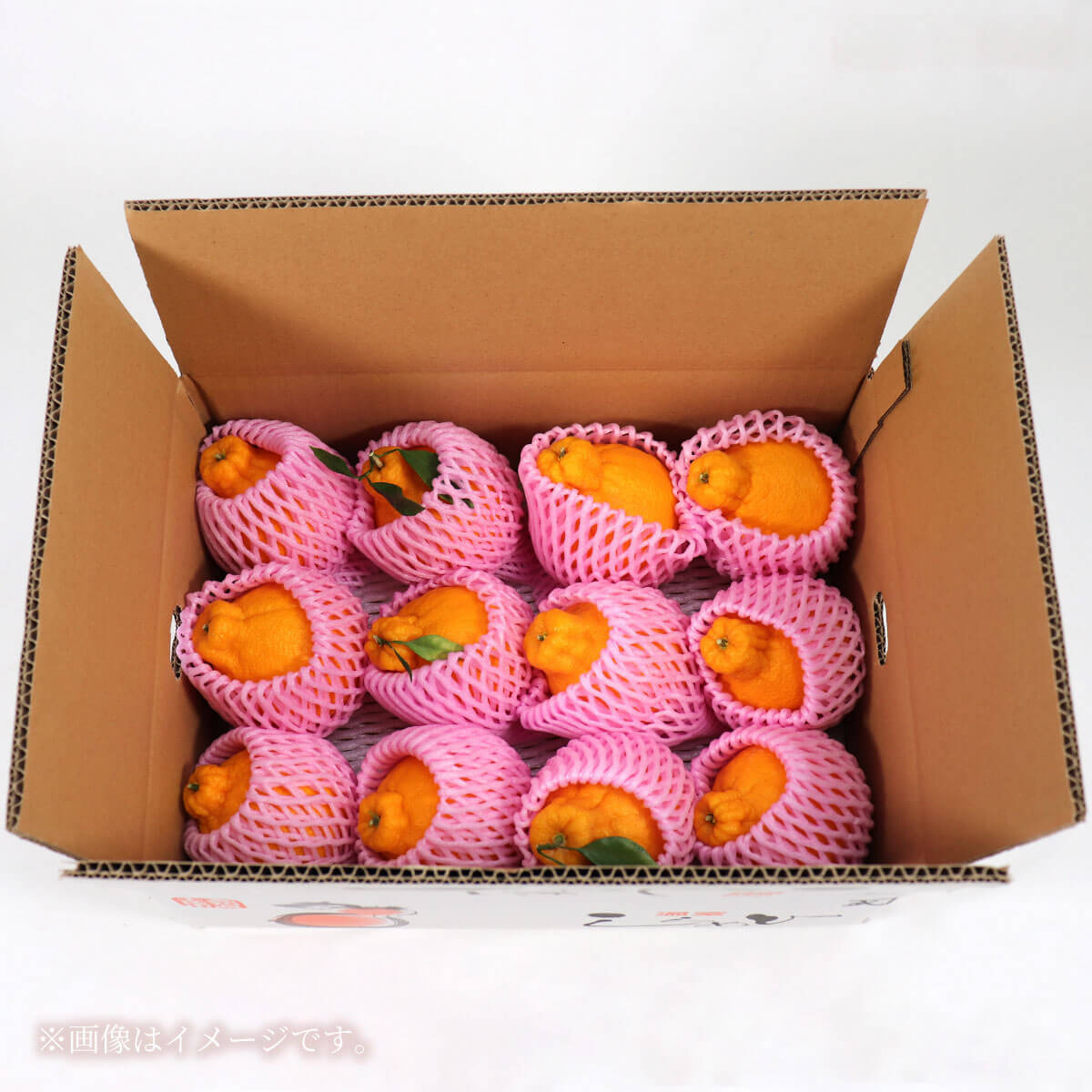 土佐の温室不知火（しらぬい）約3kg みかん 柑橘 フルーツ 果物 美味しい おいしい 常温 故郷納税 ふるさとのうぜい 返礼品 高知県 高知