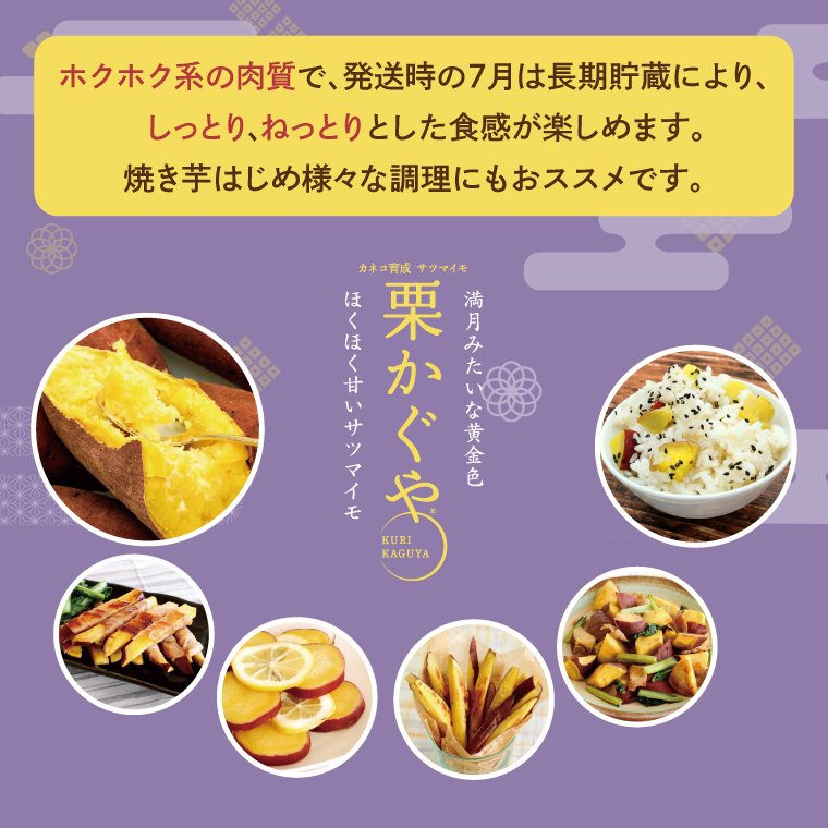 【2026年7月より順次発送】希少な新品種！７月限定「行方の黄福(栗かぐや)」さつまいも 約5kg｜さつまいも サツマイモ さつま芋 お芋 希少 新品種 栗かぐや 先行予約 茨城県 行方市(AE-88)