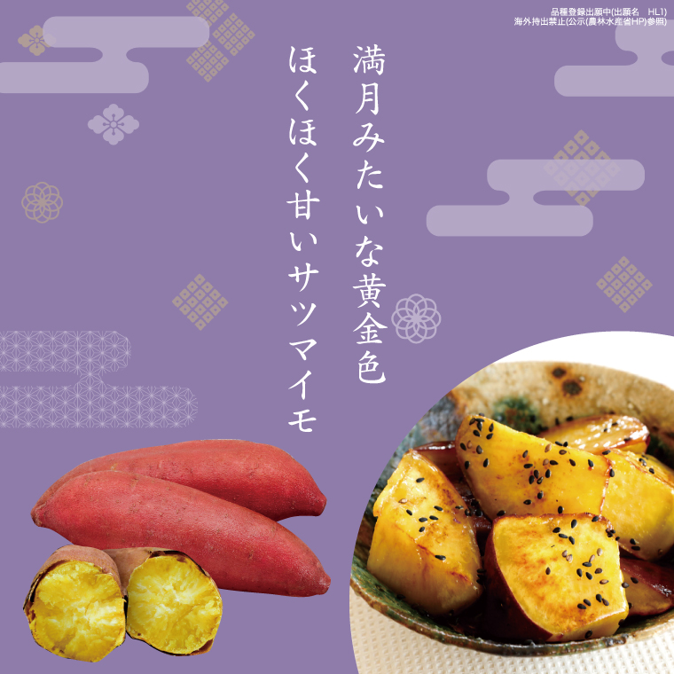 【2026年7月より順次発送】希少な新品種！７月限定「行方の黄福(栗かぐや)」さつまいも 約5kg｜さつまいも サツマイモ さつま芋 お芋 希少 新品種 栗かぐや 先行予約 茨城県 行方市(AE-88)