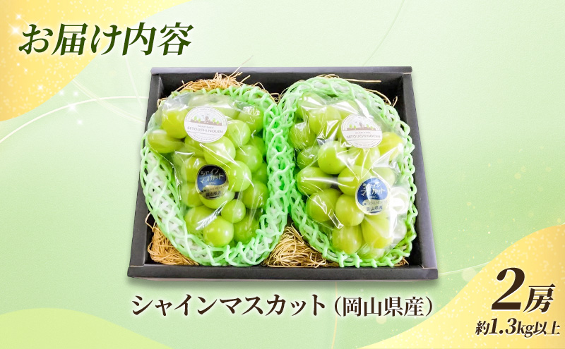 岡山県玉野市のふるさと納税 贈答用 岡山県産 シャインマスカット 2房 約1.3kg以上 ぶどう