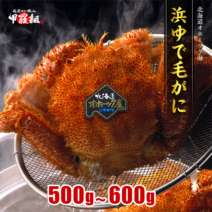 【北海道紋別市】20-269 【甲羅組】北海道産 ボイル毛蟹