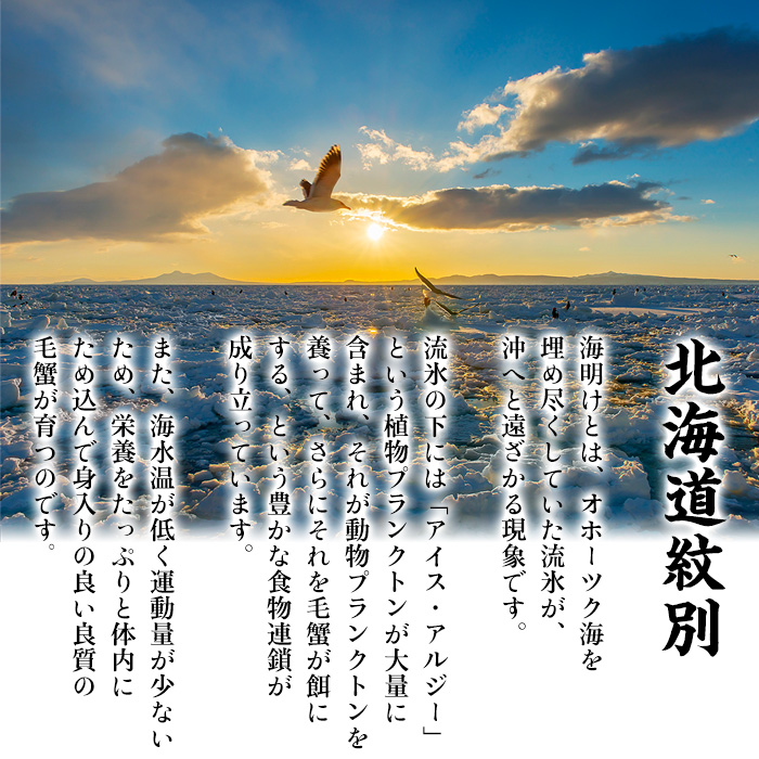 20-269 【年内配送12月15日入金まで】【甲羅組】北海道産　ボイル毛蟹 within2025