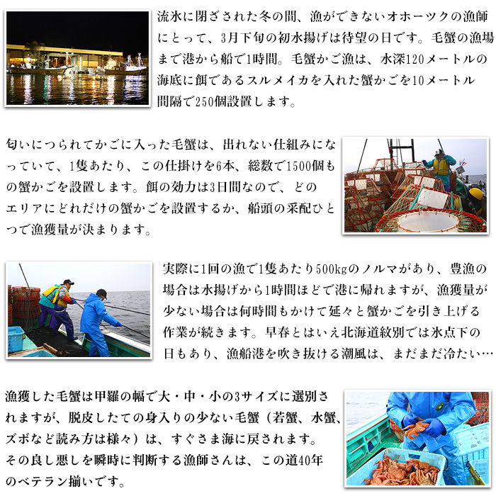 20-269 【年内配送12月15日入金まで】【甲羅組】北海道産　ボイル毛蟹 within2025