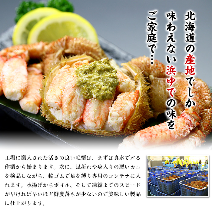 20-269 【年内配送12月15日入金まで】【甲羅組】北海道産　ボイル毛蟹 within2025