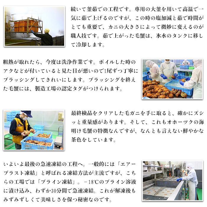 20-269 【年内配送12月15日入金まで】【甲羅組】北海道産　ボイル毛蟹 within2025
