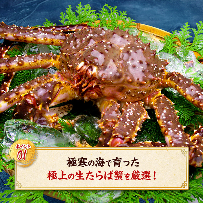 26-33 【年内配送12月15日入金まで】【甲羅組】カット済み特大生たらば蟹足 within2025