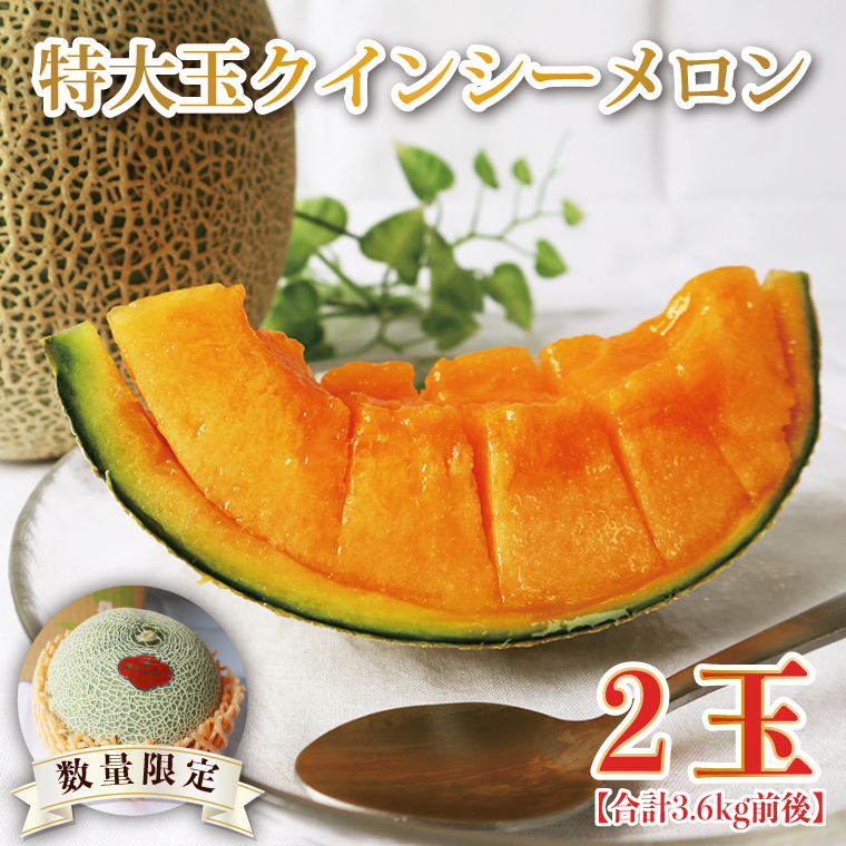 【2026年5月より順次発送】特大玉クインシーメロン(2玉)｜メロン クインシーメロン フルーツ 特大 果物 くだもの 先行予約 茨城県 行方市(BW-26)