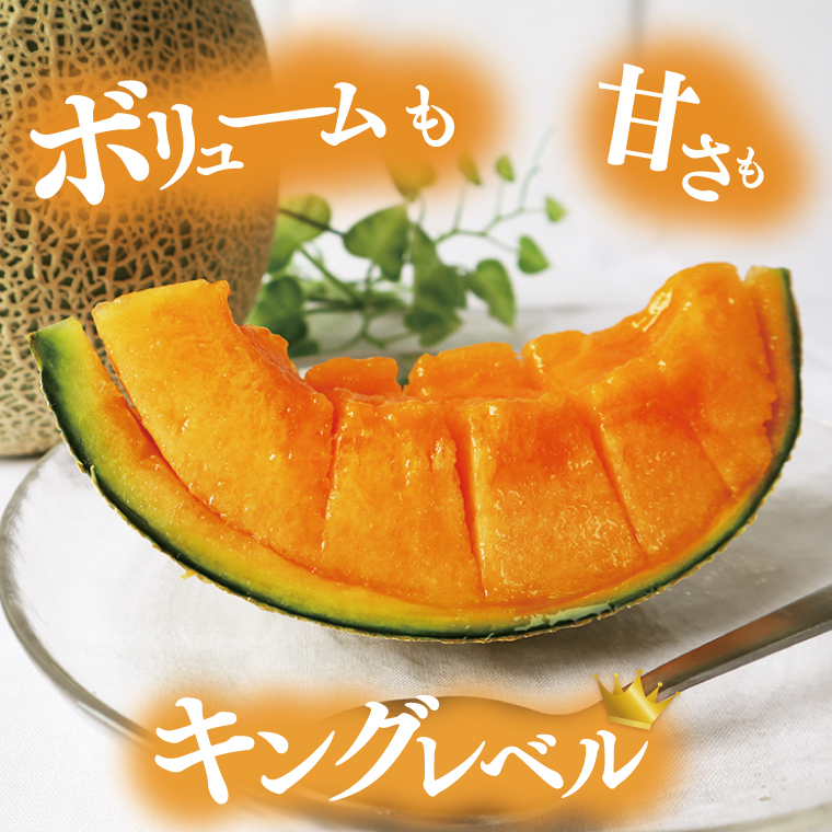 【2026年5月より順次発送】特大玉クインシーメロン(2玉)｜メロン クインシーメロン フルーツ 特大 果物 くだもの 先行予約 茨城県 行方市(BW-26)