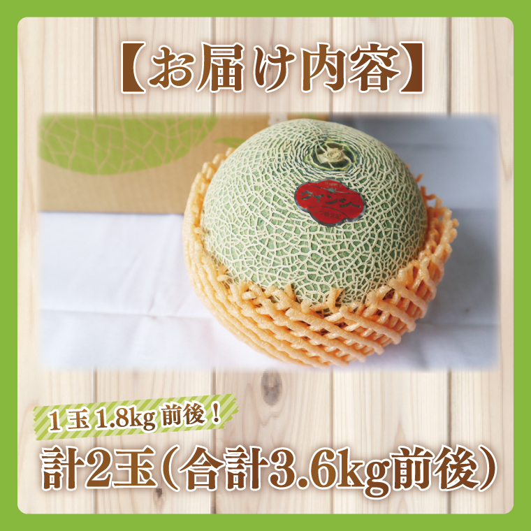 【2026年5月より順次発送】特大玉クインシーメロン(2玉)｜メロン クインシーメロン フルーツ 特大 果物 くだもの 先行予約 茨城県 行方市(BW-26)