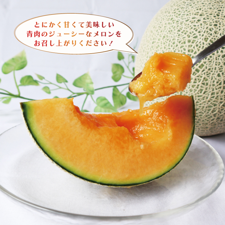 【2026年5月より順次発送】特大玉クインシーメロン(2玉)｜メロン クインシーメロン フルーツ 特大 果物 くだもの 先行予約 茨城県 行方市(BW-26)