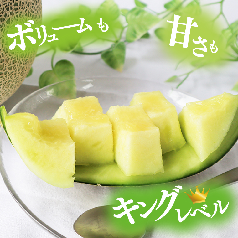 【2026年5月より順次発送】★ふるさと納税限定★プレミアムサイズ！イバラキングメロン 1玉(約2kg)｜メロン イバラキングメロン フルーツ 果物 くだもの 特大 ふるさと納税限定 先行予約 茨城県 行方市(BW-25)