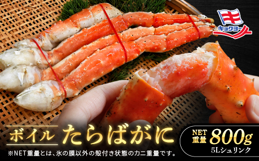 y錧z^o r {C NETd 800g 5L VN ʌ LN[ ΂ ^oKj ΊI Jj I    CN ɗmJj ĂKj