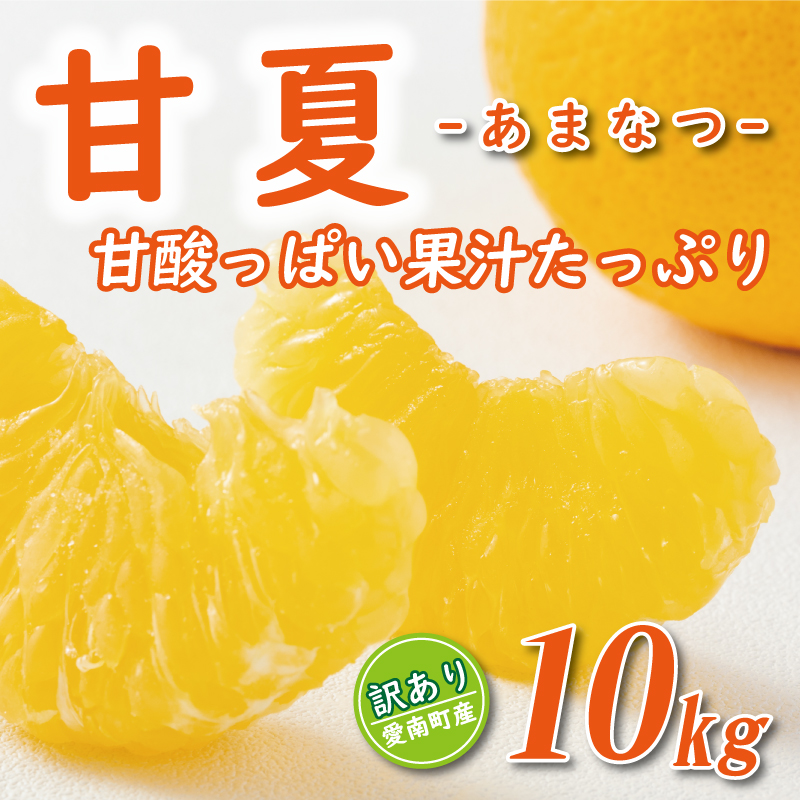 先行予約 訳あり 甘夏 10kg 7000円 樹齢25年 以上 みかん mikan 蜜柑 わけあり あまなつ 夏みかん グレープフルーツ だいだい 家庭用 事前 予約 受付 産地直送 国産 農家直送 糖度 期間限定 数量限定 特産品 ゼリー マーマレード ピール ジュース デザート 人気 限定 おいしい 果実 果肉 フルーツ 果物 柑橘 美味しい サイズ ミックス 減農薬 くらもとファーム 愛南町 愛媛県