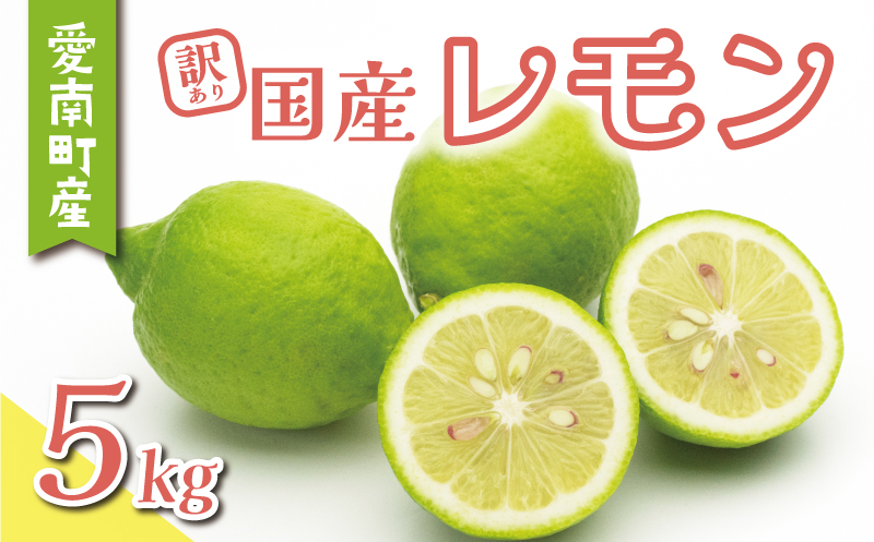 yQ쒬z󂠂  5kg 7000~ k TCY s ƒp EG Y t[c ʕ ʎ Yn _ƒ ʌ Ԍ Yi ˓ bNX h sgp L@͔| ʏ` lC VN l[h  | \[X ݂͂ 