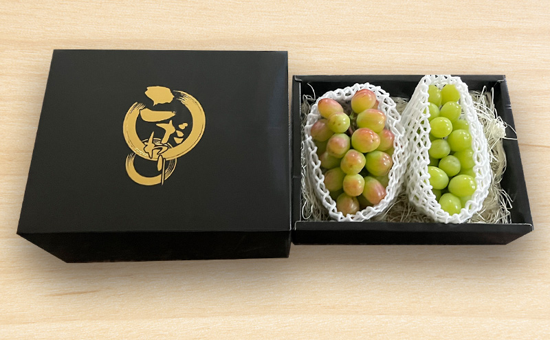 [先行受付] 北海道 仁木町 ぶどう 食べ比べ 各1房 シャインマスカット バイオレッドキング ブドウ マスカット 果物 くだもの フルーツ [嶋田茂農園]