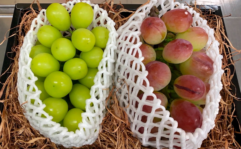 [先行受付] 北海道 仁木町 ぶどう 食べ比べ 各1房 シャインマスカット バイオレッドキング ブドウ マスカット 果物 くだもの フルーツ [嶋田茂農園]