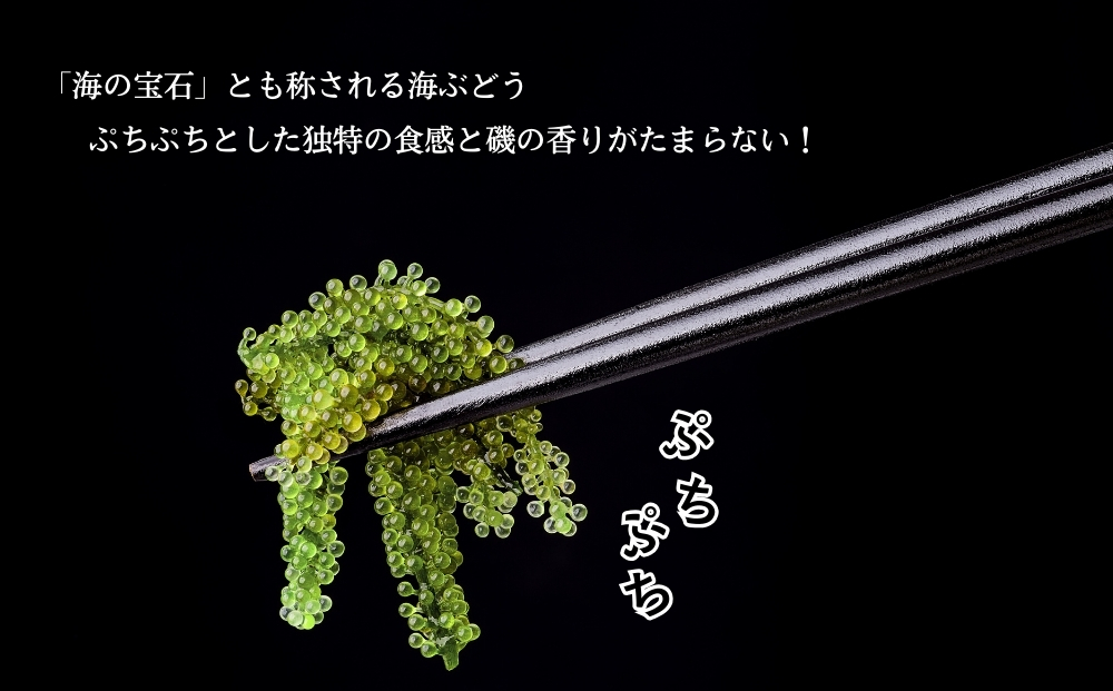 【うるま市産】こだわり海ぶどう　500g