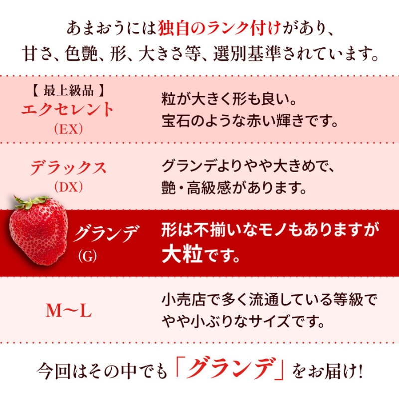 いちご 福岡県産 あまおう 1000g (250g×4パック) 先行予約 2026年1月より順次発送 果物 デザート ※配送不可：離島 
