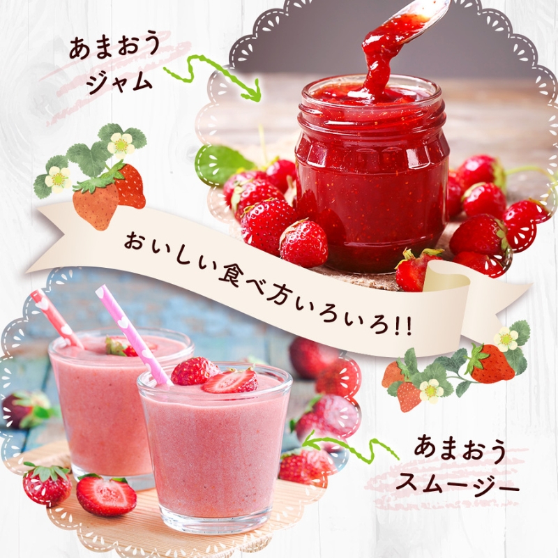 いちご 福岡県産 あまおう 500g (250g×2パック) 先行予約 2026年2月より順次発送 果物 デザート ※配送不可：離島 