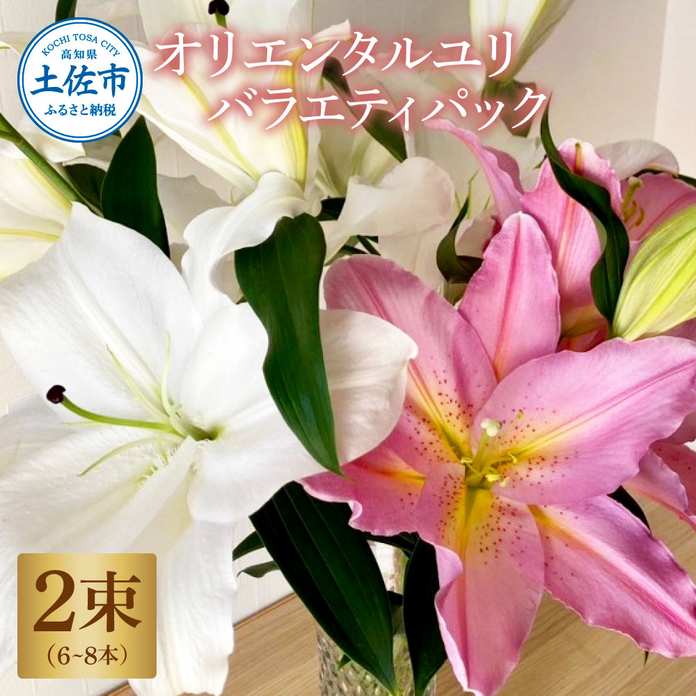 ymyszIG^ oGeBpbN 2(13`4{ 15ֈȏ)  ͂ ԑ    S Q ڂ ӏ ӏܗp  傫 炭 傫 lߍ킹 v[g 蕨 Y
