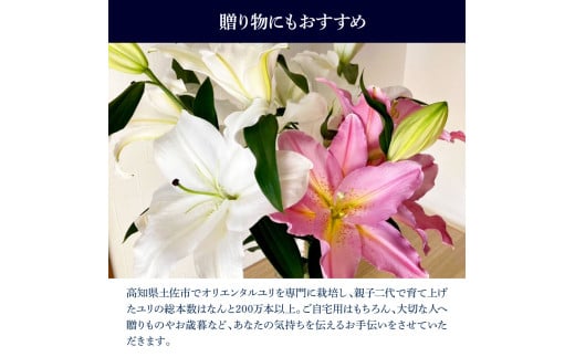 オリエンタルユリ バラエティパック 1束(1束3～4本 15輪以上) 