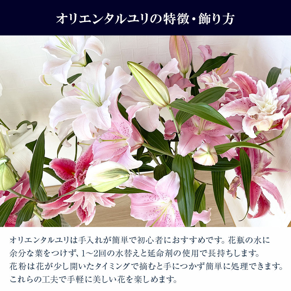 訳あり オリエンタルユリの詰め合わせ 2束(1束4～6本 15輪以上) 花 はな 花束 生花 ゆり 百合 蕾 つぼみ 鑑賞 鑑賞用 白百合 白ゆり 白ユリ 詰め合わせ 国産 家庭用 ご自宅用