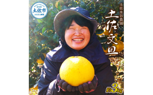 ymysz{AmysYIyJ_̘InyU3kg 3`5LTCY U u^ Ԃ񂽂 k 񂫂 k ݂ t[c fU[g ʕ  }[}[h ~l r^~