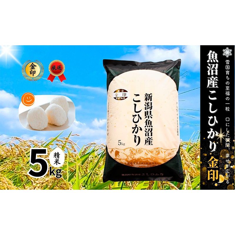 yV\szyߘa7NYzYRVqJ()5kg   Ђ   V \s