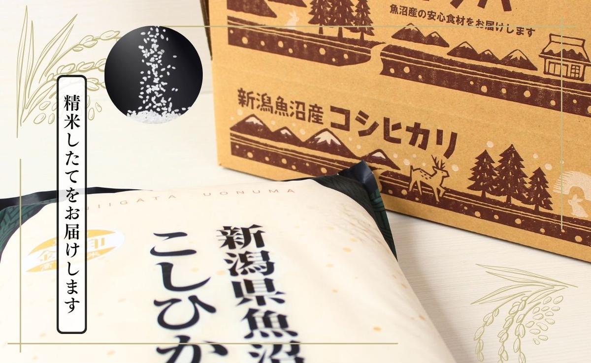 令和6年産 魚沼産こしひかり 精米15kg 令和6年産】 県認証 特別栽培米 魚沼産 コシヒカリ 5kg 精米