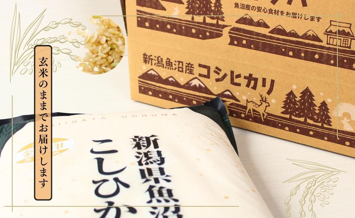 【令和7年産】魚沼産コシヒカリ金印(玄米)5kg 米 お米 こしひかり 玄米 中魚沼 新潟県 十日町市