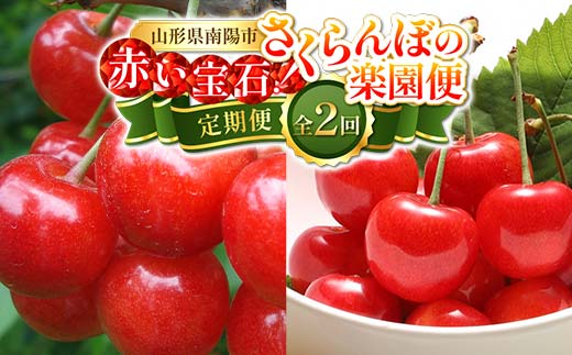 【令和8年産先行予約】 《定期便2回》 赤
