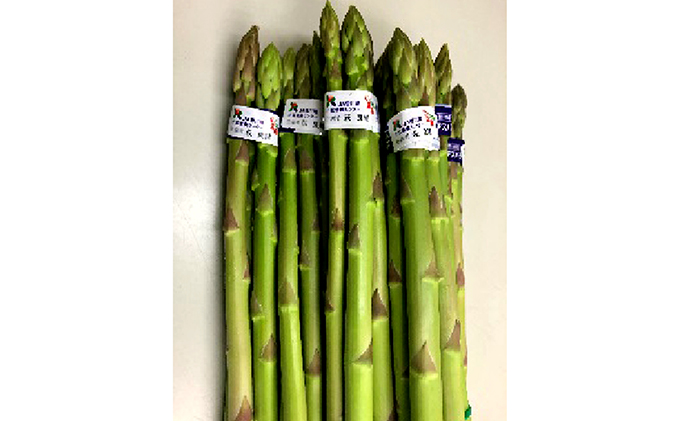 [ 小豆島 ]香川のアスパラ[さぬきのめざめ]春芽 約1kg アスパラガス 野菜