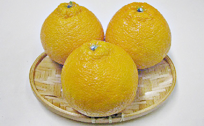 【香川県土庄町】【 小豆島 】小豆島 ハウスデコポン 約5kg みかん 柑橘類 果物類 フルーツ