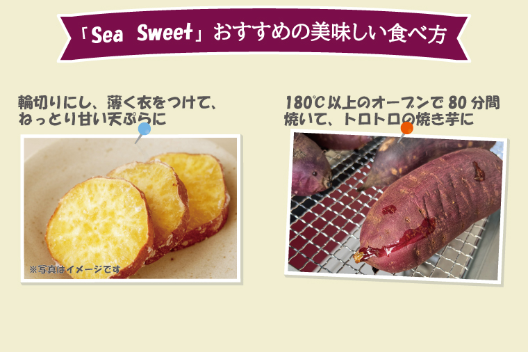 【先行予約】大洗産 さつまいも 紅はるか 2.5kg （8本前後） 「Sea Sweet」 長期熟成 茨城県産 サツマイモ 土付き 生芋 芋 さつま芋 薩摩芋 甘藷 べにはるか