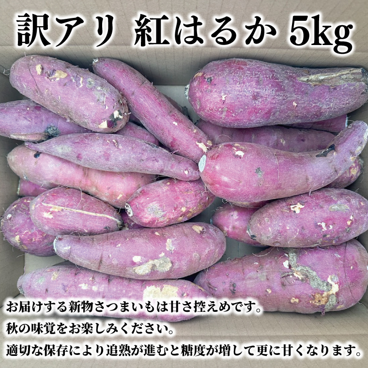 【2026年2月下旬より順次発送】【数量限定】訳アリ 茨城県産紅はるか 約5kg｜さつまいも 芋 サツマイモ 紅はるか 訳あり わけあり 先行予約 茨城県 取手市（AS003-1）