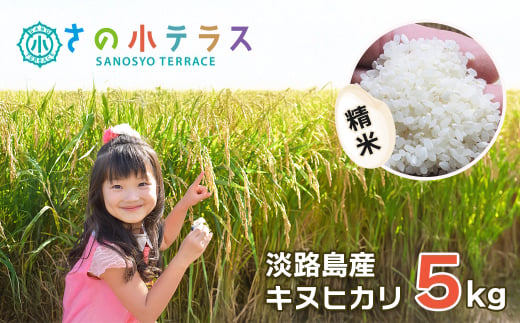 【兵庫県淡路市】令和7年度 淡路島産キヌヒカリ 5kg (精米)