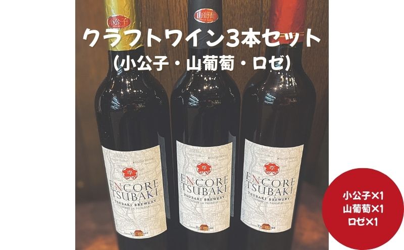 【愛知県日進市】クラフトワイン3本セット(小公子・山葡萄・ロゼ) ワイン クラフトワイン 酒 お酒 セット 詰め合わせ 愛知 日進市
