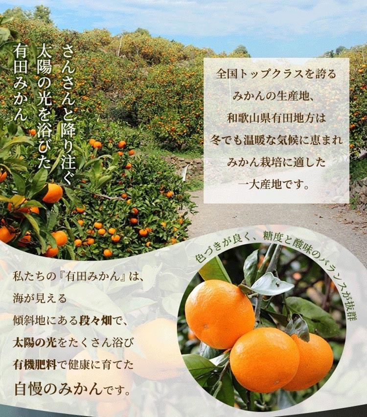 家庭用 完熟 有田みかん1kg+250g（傷み補償分）サイズ混合 ※北海道・沖縄・離島への配送不可 ※2025年11月上旬～2026年1月下旬頃に順次発送予定