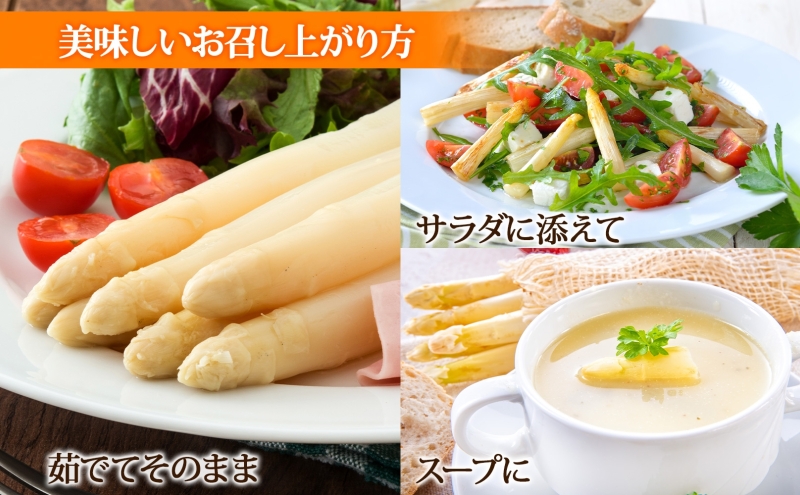 【 2026年 発送 】 北海道産 アスパラガス ホワイト 約 900g M - L サイズ 混合 アスパラ 旬 朝採り 新鮮 お取り寄せ 産地直送 産直 野菜 農作物 詰め合わせ 国産 北海道 倶知安町