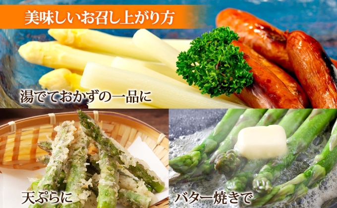 【 2026年 発送 】 北海道産 アスパラガス グリーン ホワイト 2種 約 900g×2 計1.8kg 2L サイズ 食べ比べ アスパラ 旬 朝採り 新鮮 お取り寄せ 産地直送 産直 野菜 農作物 詰め合わせ 国産 しりべしや ニセコファーム