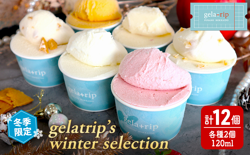 冬季 限定 】gelatrip's winter selection ジェラート 12個 BOX 6種 各