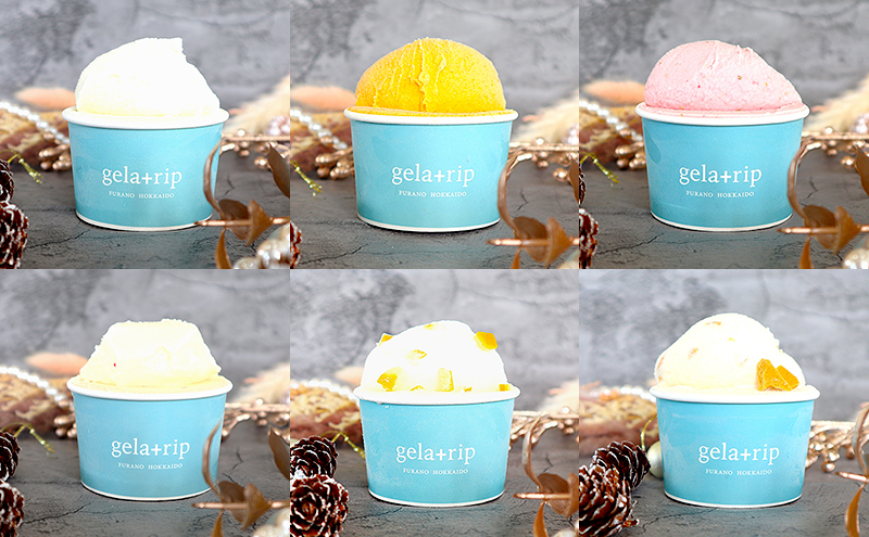 冬季 限定 】gelatrip's winter selection ジェラート 12個 BOX 6種 各