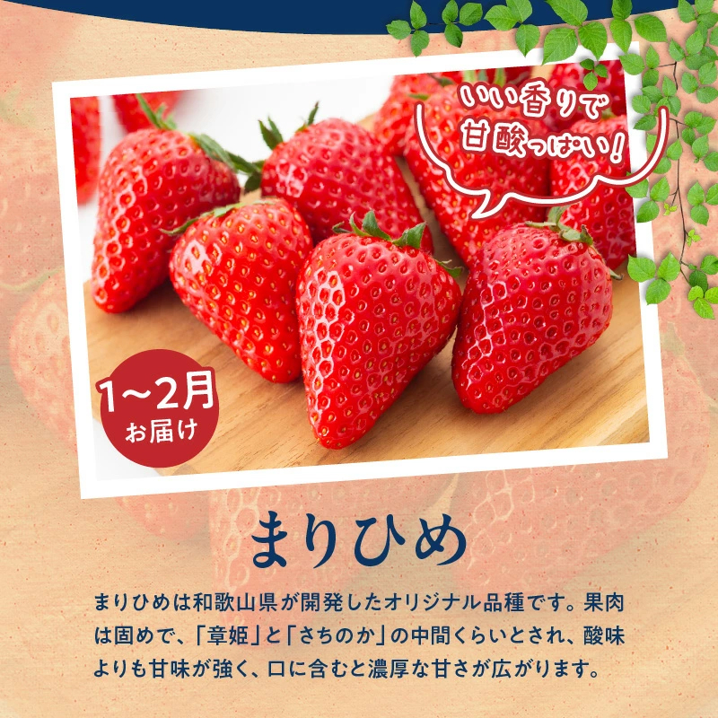 G60-T76_【定期便 全3回】紀州和歌山産旬のフルーツ定期便（田村みかん、いちご、なつみ）