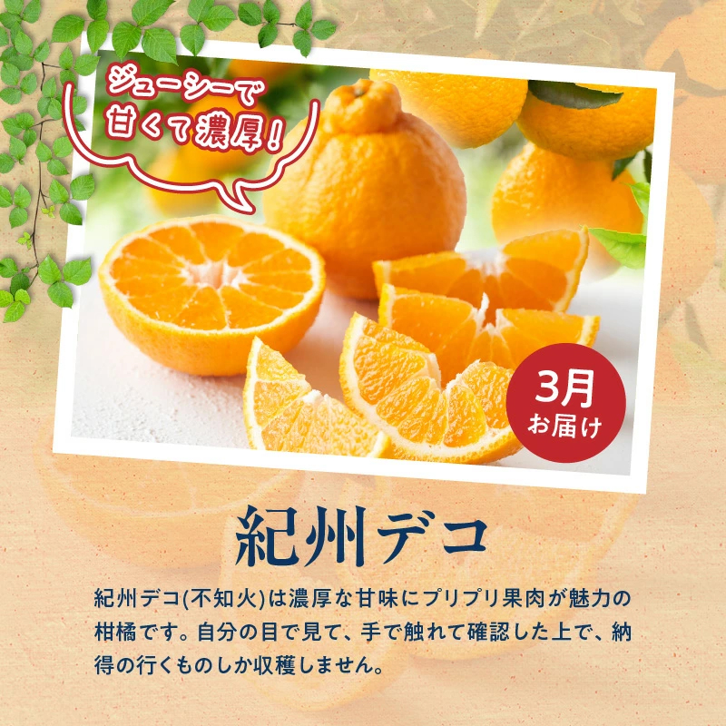 G60-T77_【定期便 全3回】紀州和歌山産旬のフルーツ定期便（田村みかん、いちご、紀州デコ）