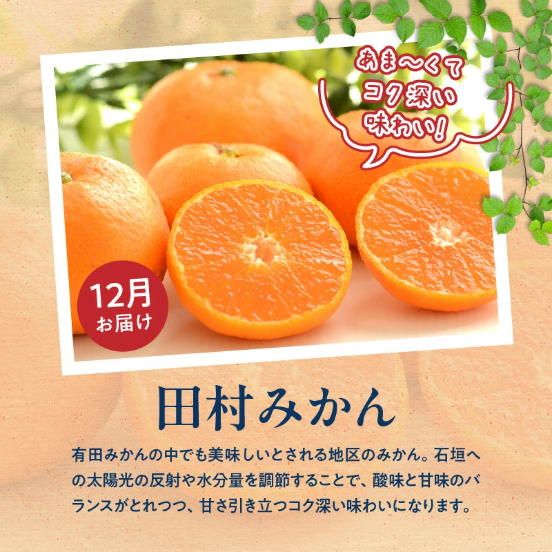 G60-T77_【定期便 全3回】紀州和歌山産旬のフルーツ定期便（田村みかん、いちご、紀州デコ）