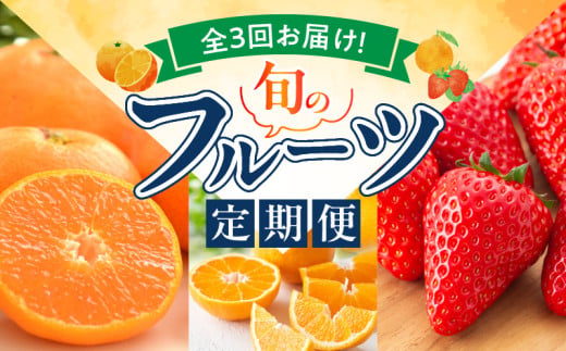 G60-T78_【定期便 全3回】紀州和歌山産旬のフルーツ定期便（田村みかん、いちご、紀州デコ）