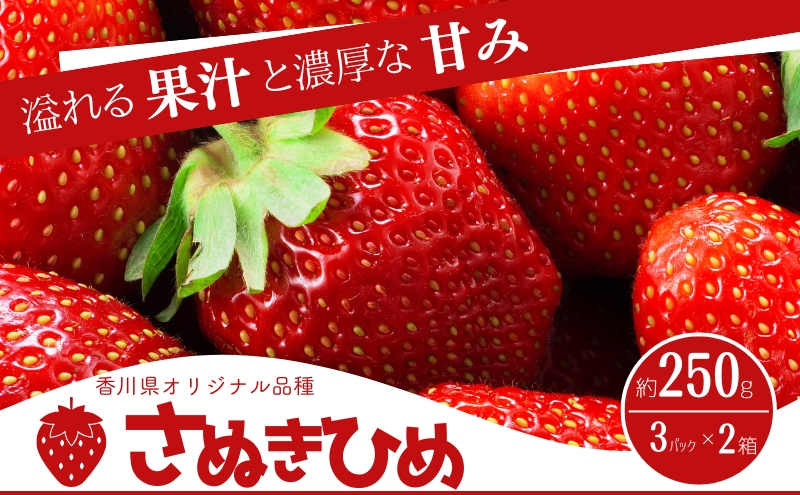 y쌧sz쌧IWiiI@ƒpʂЂ䕁@6pbN