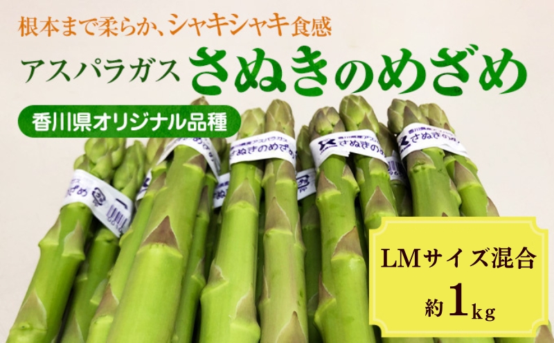 y쌧szAXpKXyʂ̂߂߁z1kg@LM